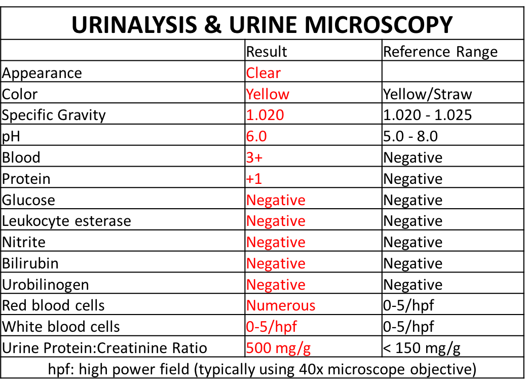 Psy12 Lab Ranges Case 12: Diagnostic Testing
